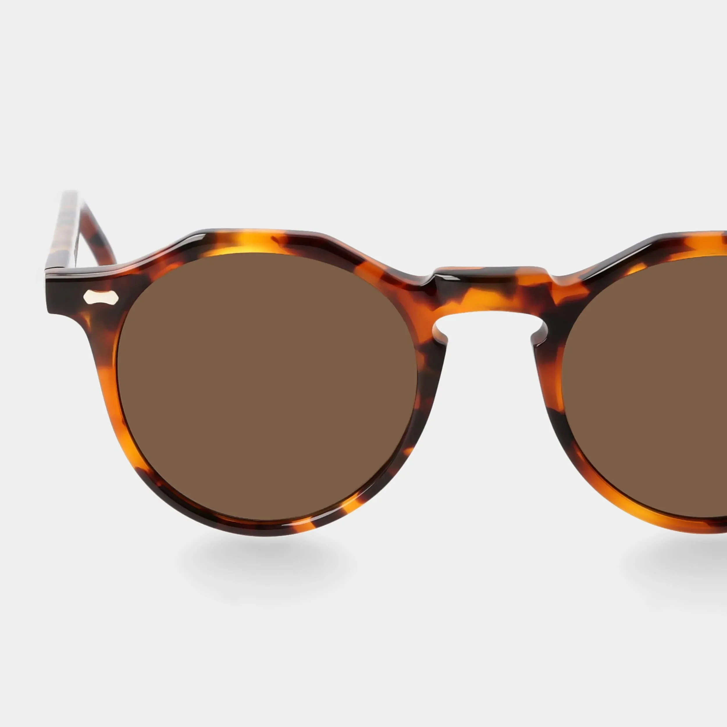 LAPEL AMBER TORTOISE Sunglasses