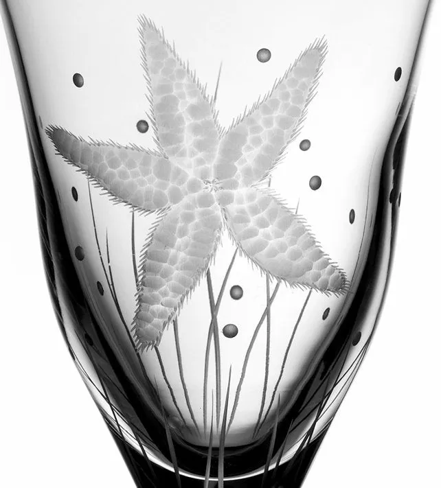 Sea Creatures Hand Engraved Varga Crystal 6-Pc. Water Glass Set